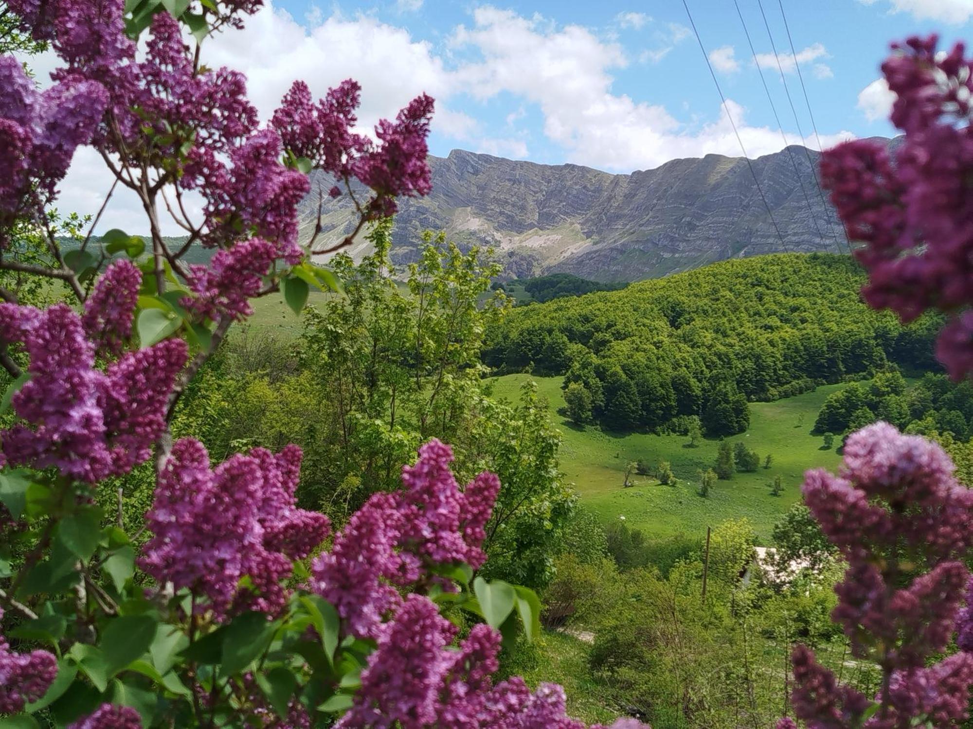 Gacko Cemerno Cottage מראה חיצוני תמונה